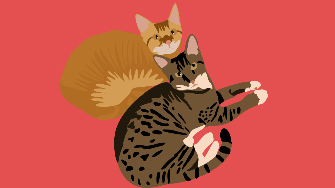 image alt tag goes here